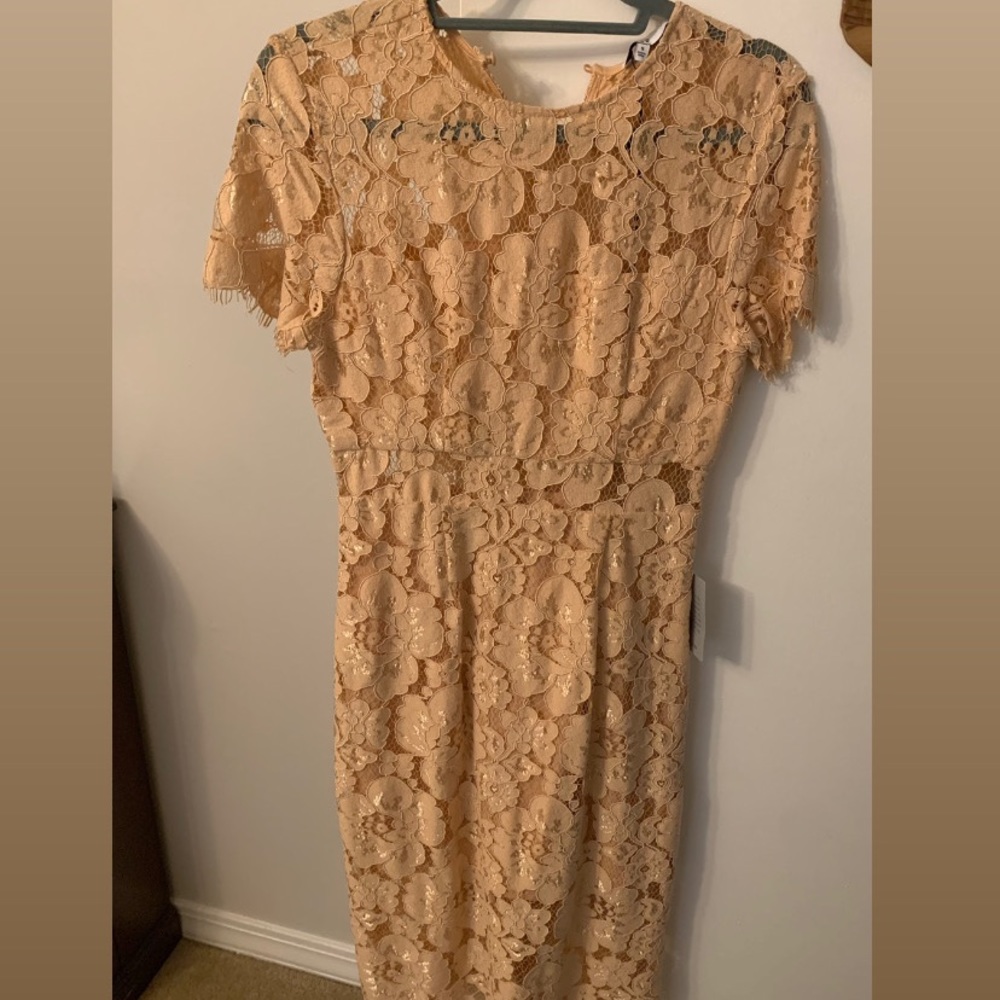 Lace shorts sleeve sheath midi dress